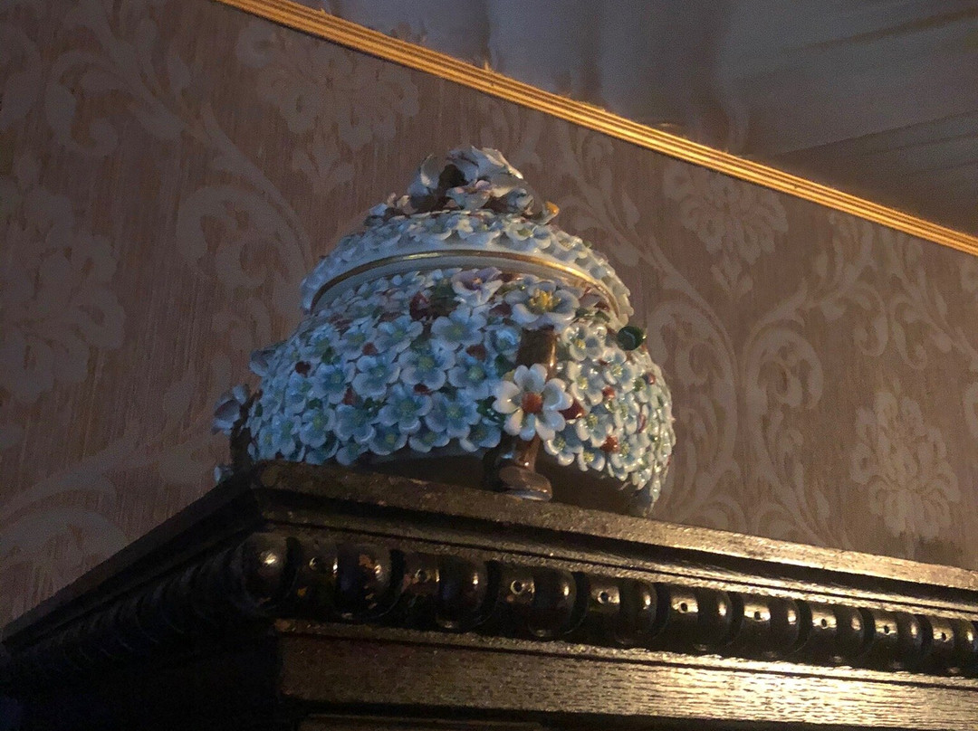 Dom Gorodskogo Golovy Botnikova Museum景点图片