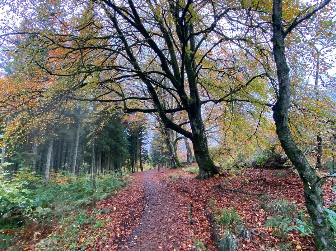 Kielder Castle Visitor Centre-Kielder必去景点