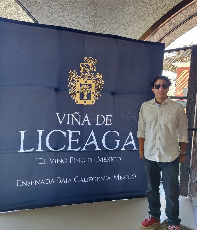 Viña de liceaga景点图片