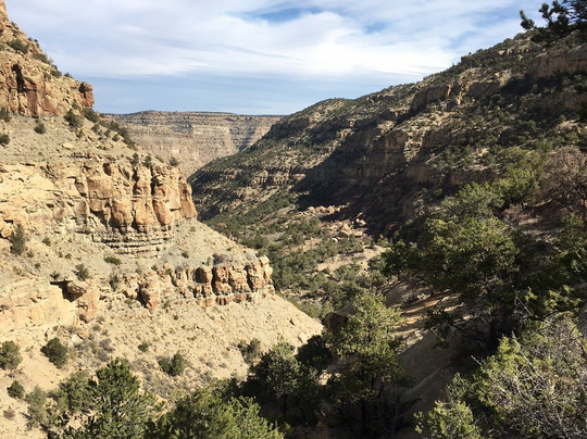 The Little Book Cliffs Wild Horse Area-大章克申必去景点