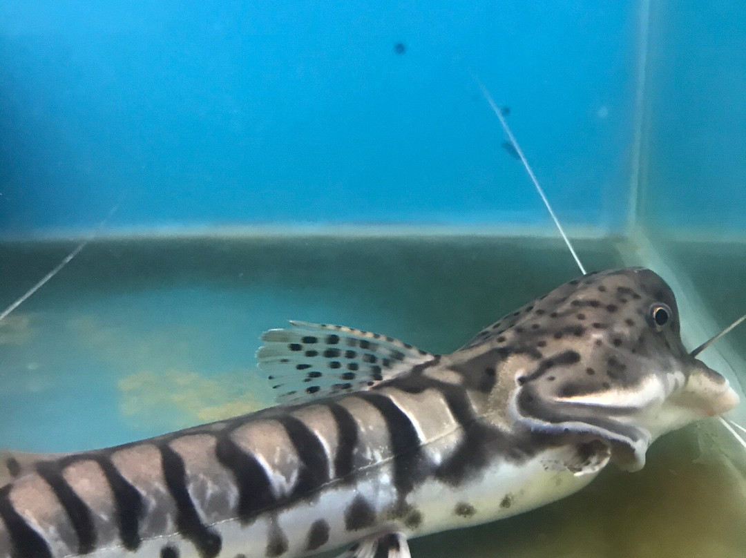 Baichanalli旅游攻略图片