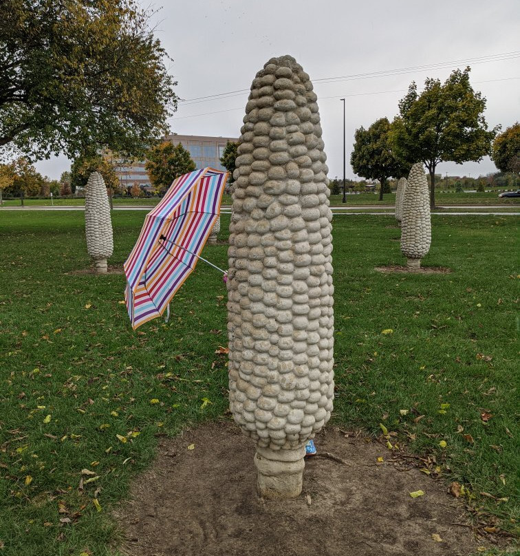 Field of Giant Corn Ears-都柏林必去景点