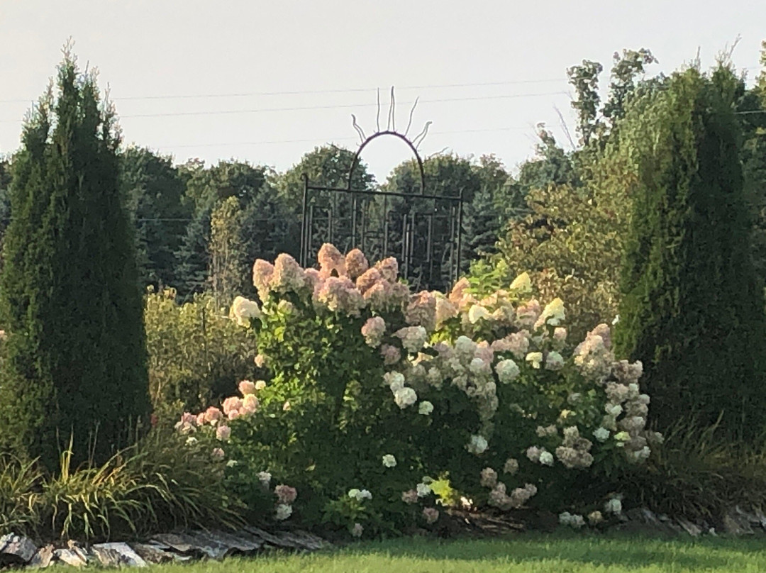 Light of Day Organic Teas-特拉弗斯城必去景点