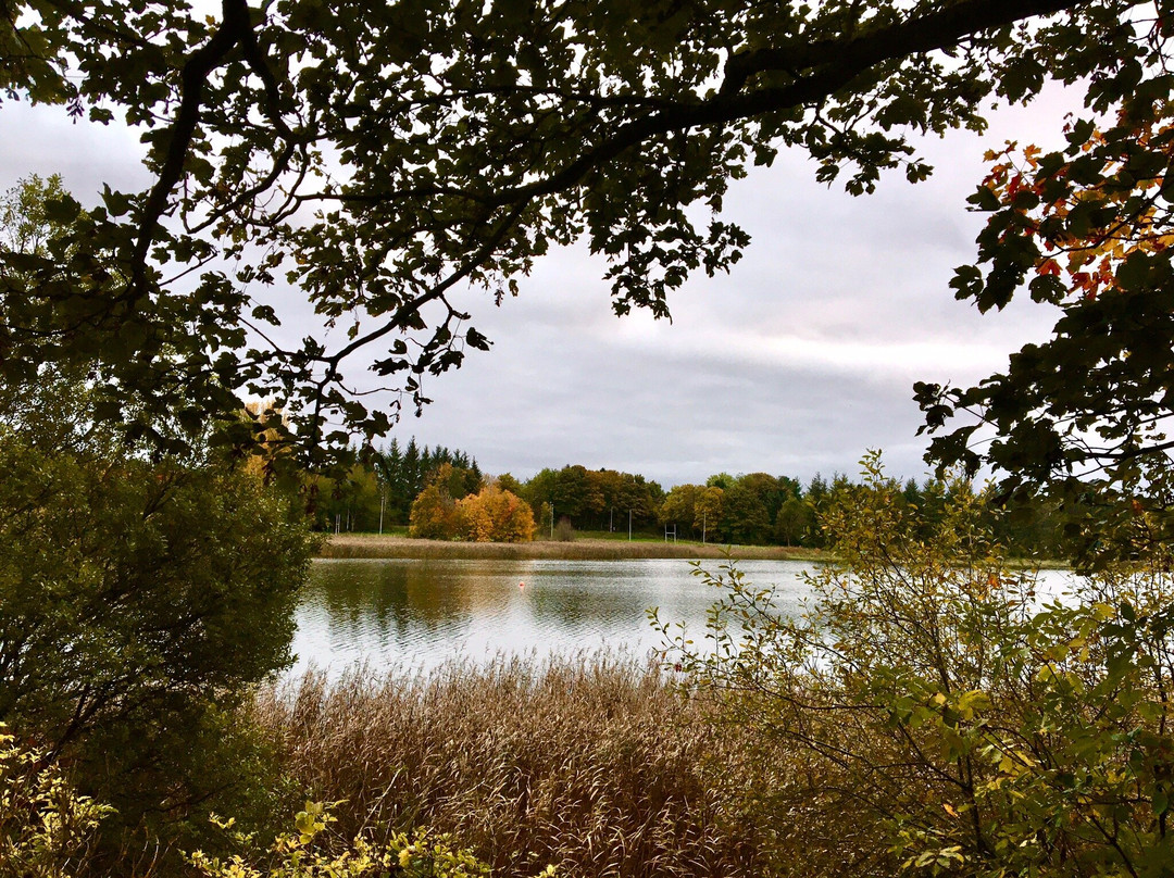 Loch Of Forfar-Forfar必去景点
