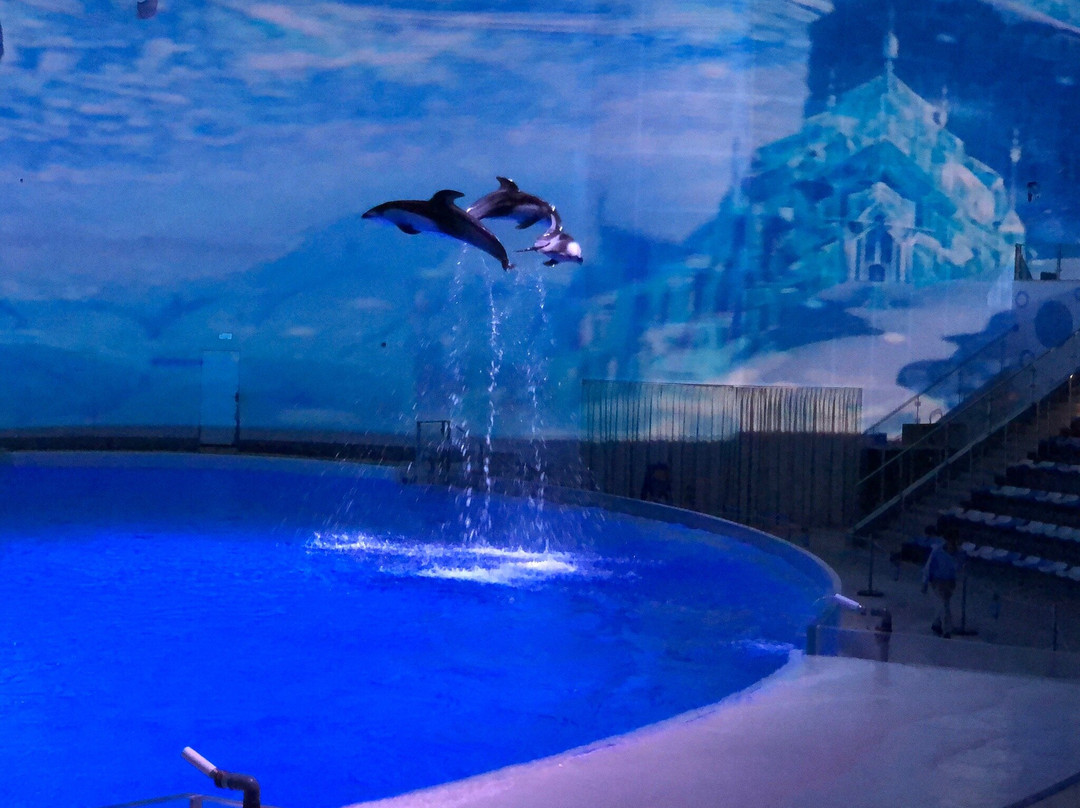 上海海昌海洋公园-上海市必去景点