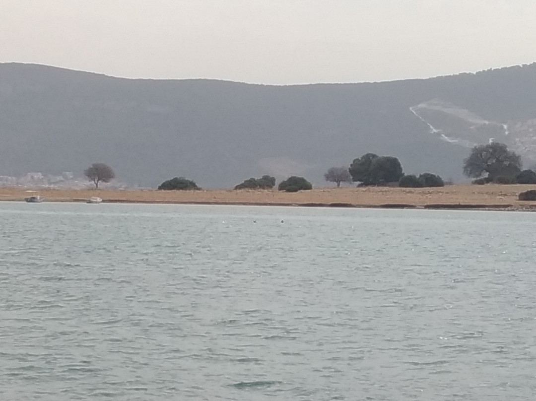Saplı Ada景点图片