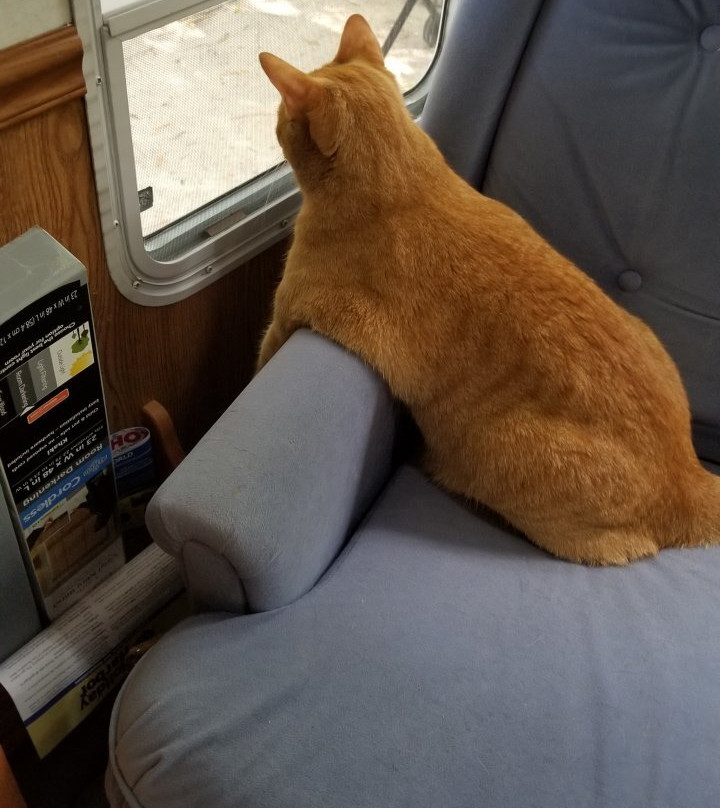 George L. Smith Park-Twin City必去景点