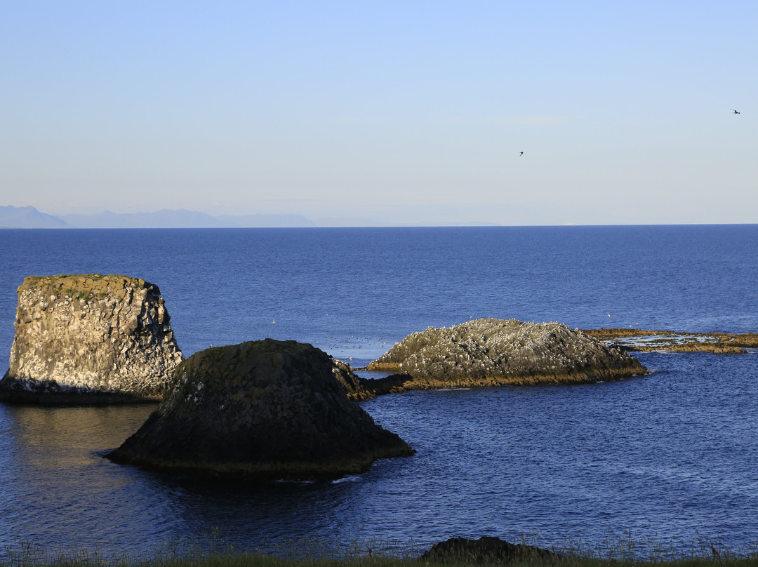 Arnarstapi-Hellnar Hike-Arnarstapi必去景点