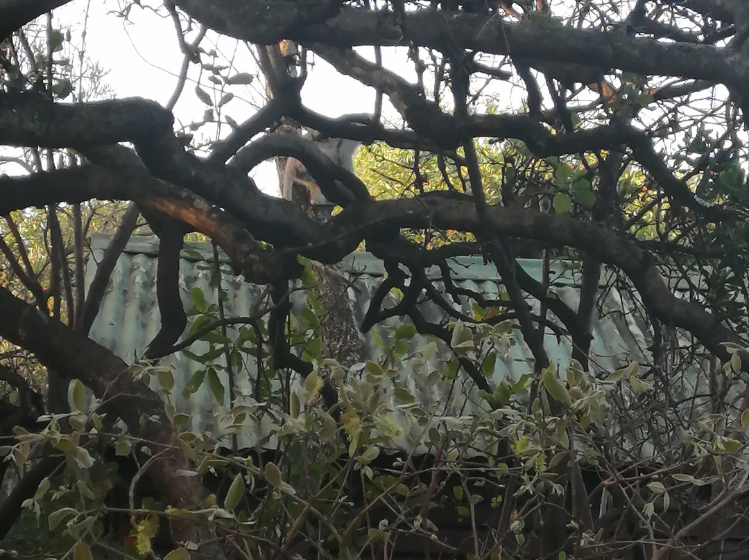 De Wildt 4x4-Brits必去景点