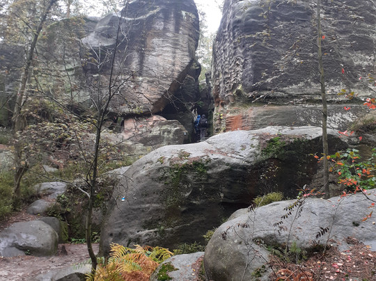 Nomad Society-布拉格必去景点