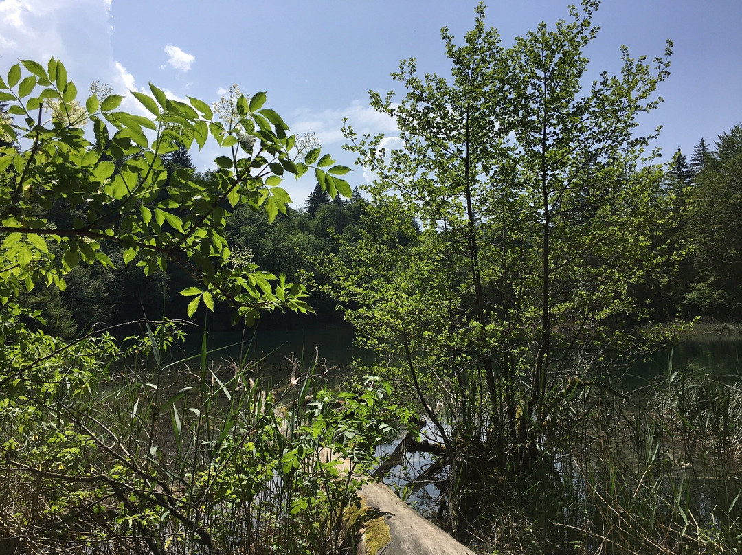Batinovac Lake景点图片