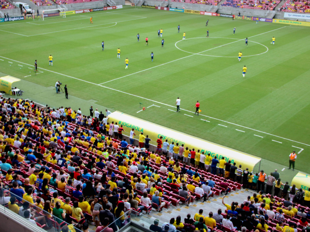 Arena de Pernambuco景点图片