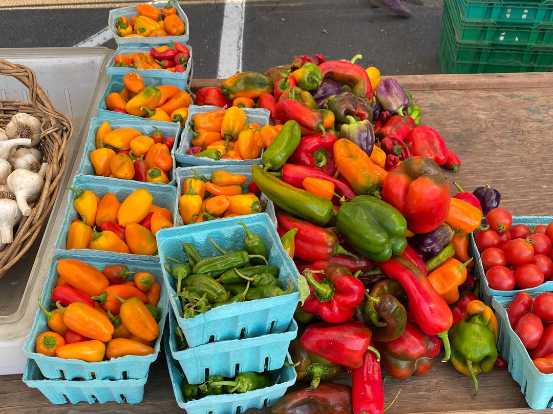 Westport Farmers Market-Westport必去景点