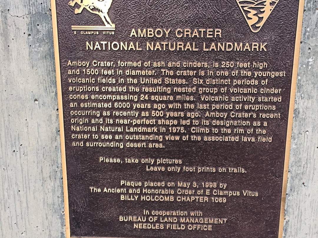 Amboy Crater-Amboy必去景点