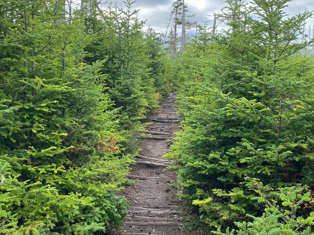 Gaff Point Trail-Riverport必去景点
