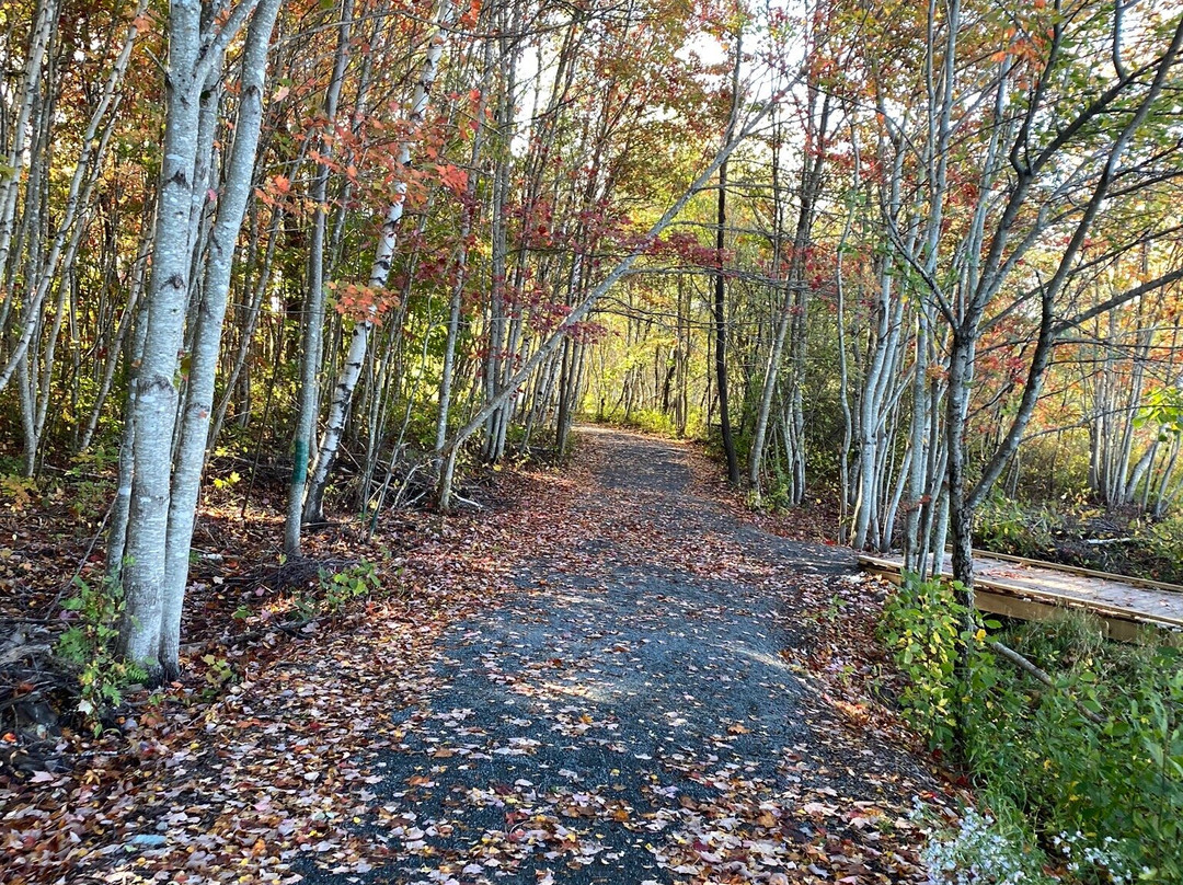 Springhill Pit Pond Walking Trail景点图片