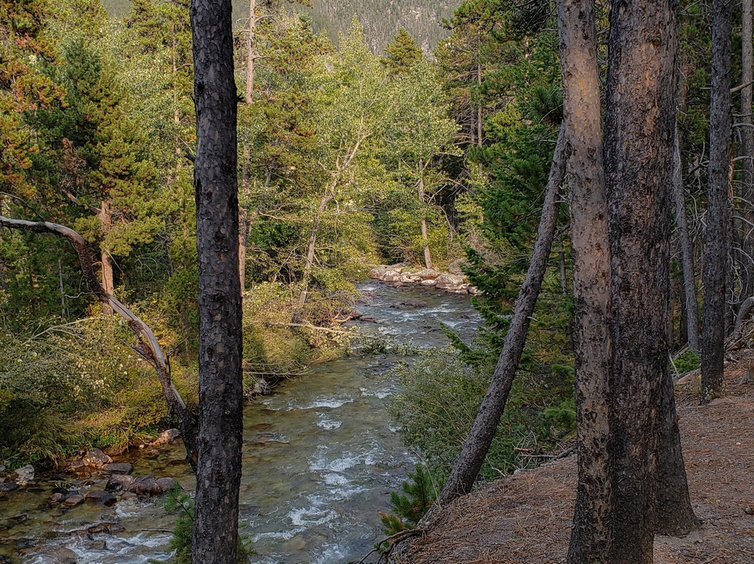 Silver Run Trails-雷德洛治必去景点