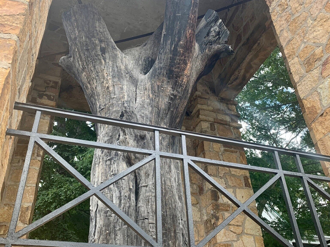 Constitution Elm-Corydon必去景点