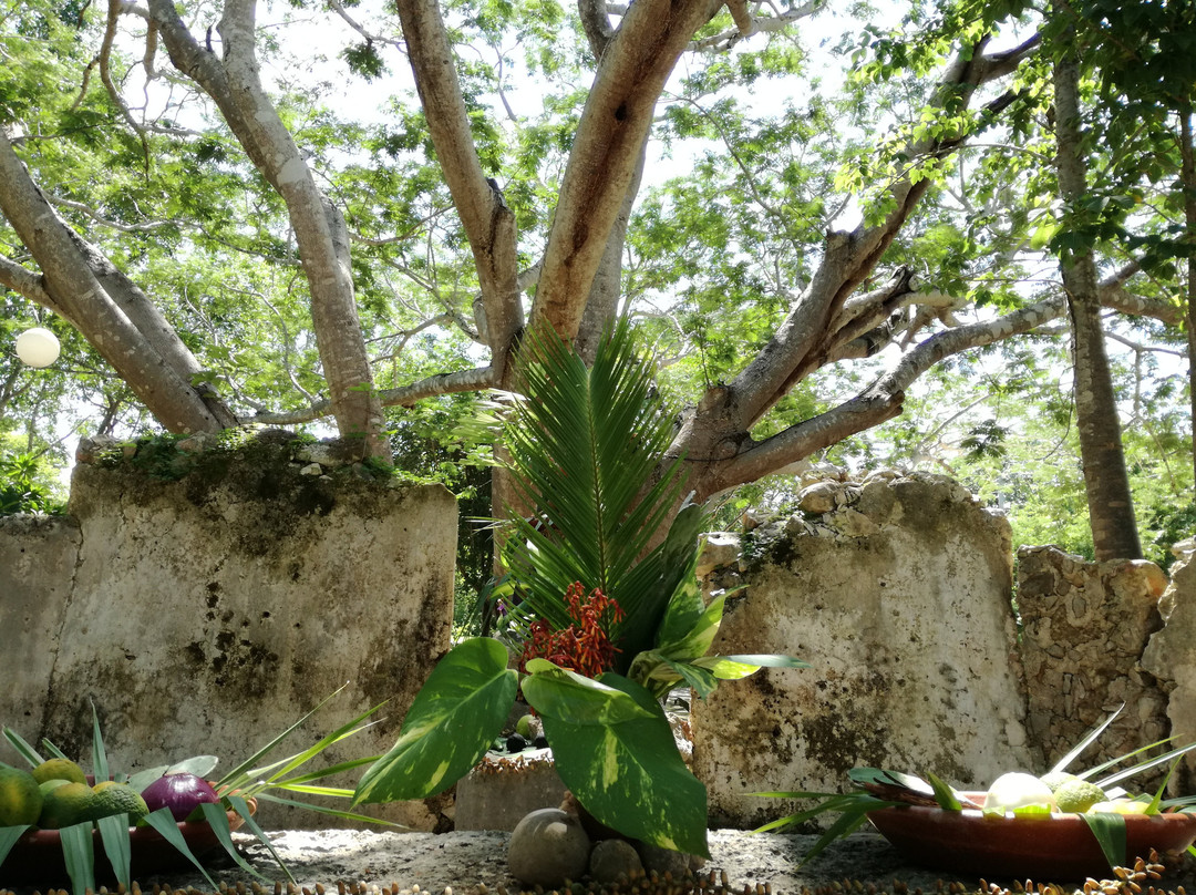Hacienda Ochil景点图片