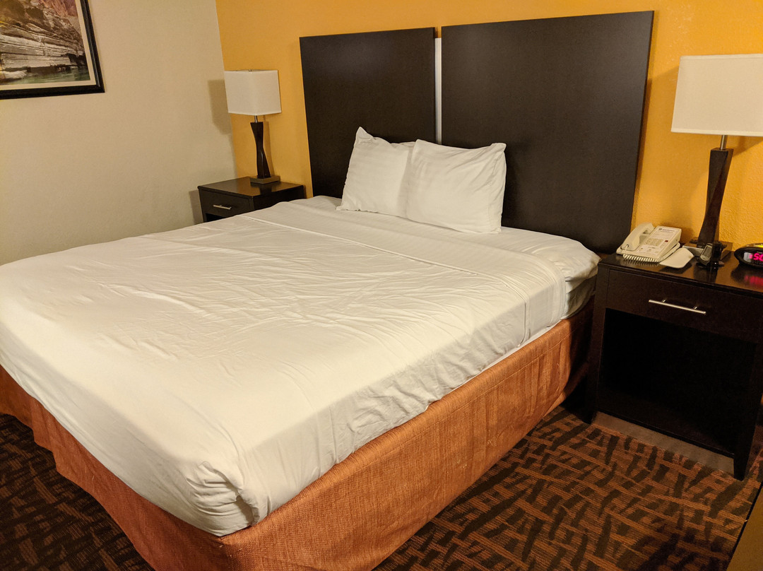 Best Western Arizonian Inn主图