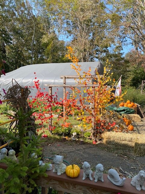 Griffin Garden Market