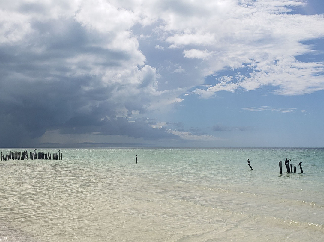 Taxi Turistico Holbox景点图片
