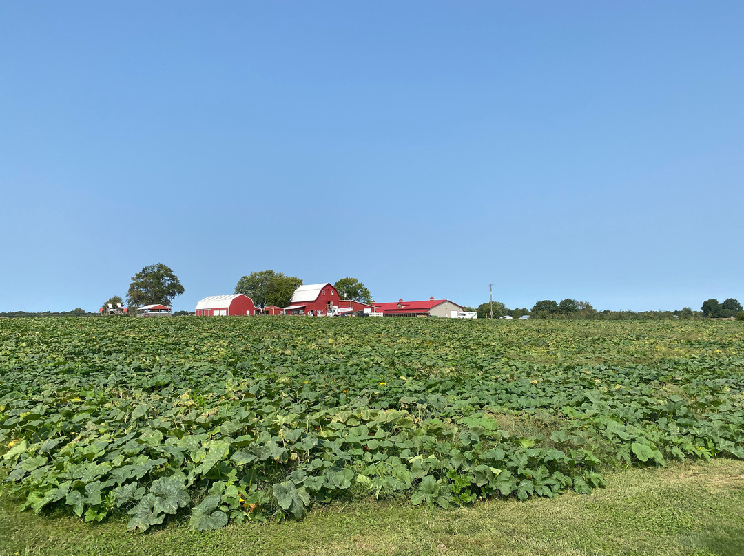 Eckert's Grafton Farm景点图片