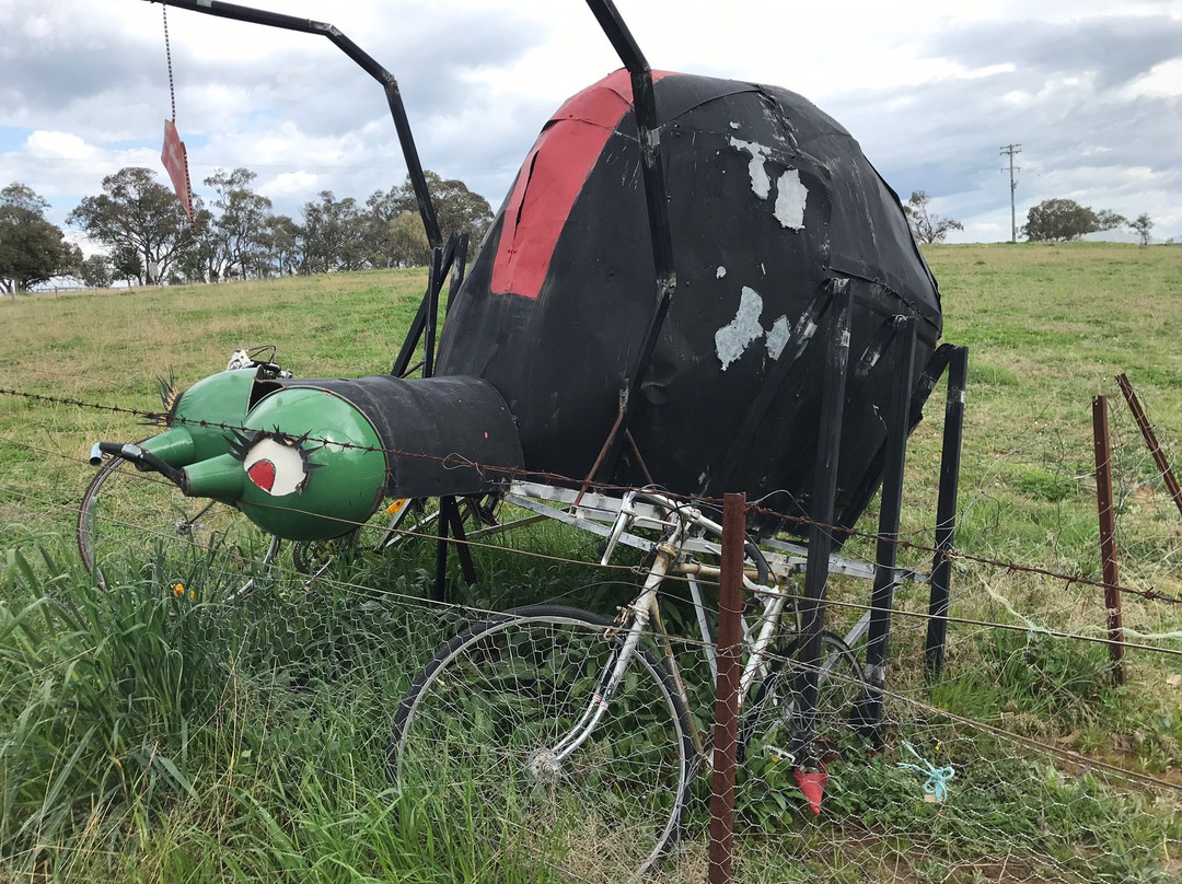 Animals on Bikes-Molong必去景点