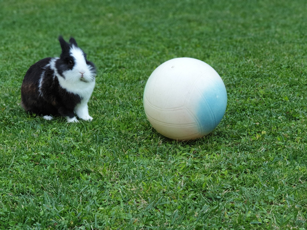 Hotel Green Bay主图