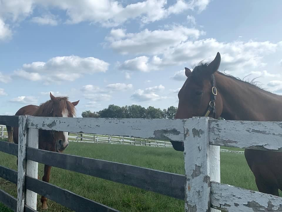 Kentucky Scenic Byway-列克星敦必去景点