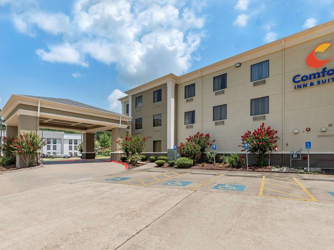 Strong酒店住宿-Comfort Inn & Suites
