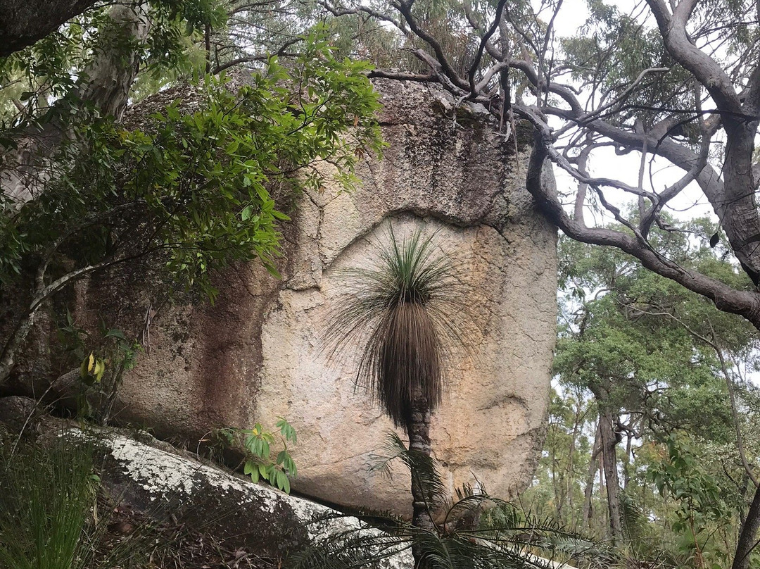 Davies Creek National Park-马里巴必去景点