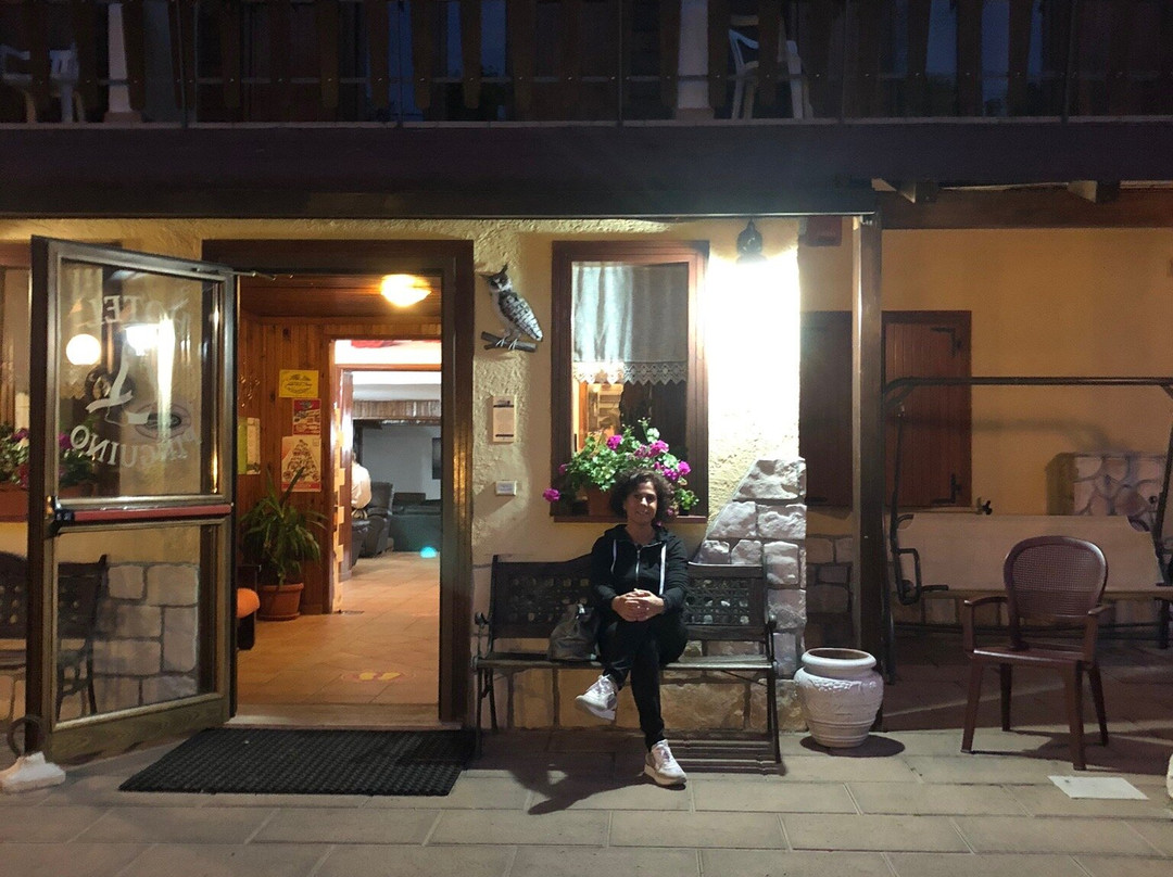Hotel Pinguino主图