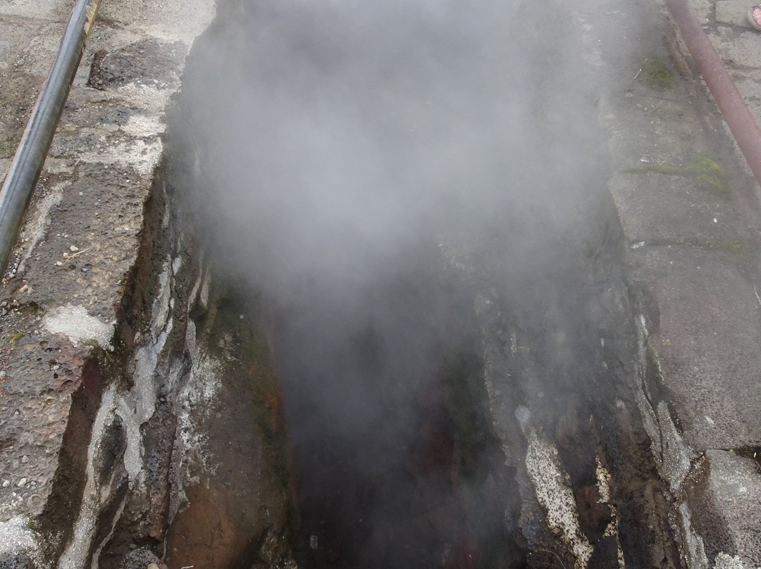 Steam Vents-帕霍亚必去景点