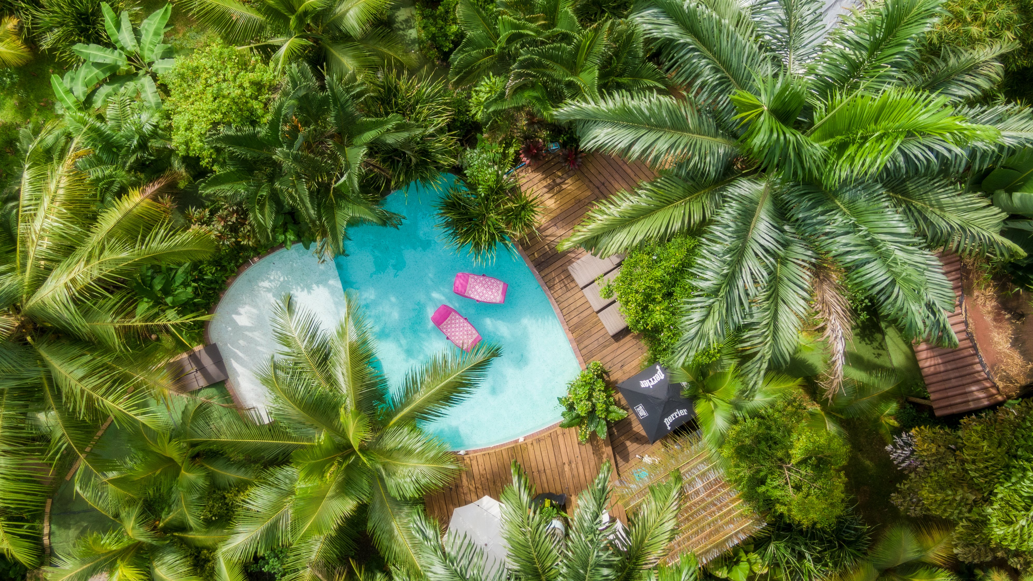 Monkey Lodge Panama-官方