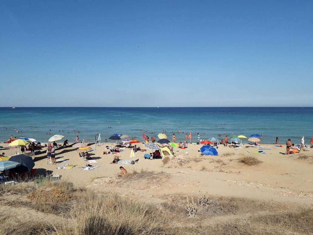 Spiaggia Spinazza景点图片
