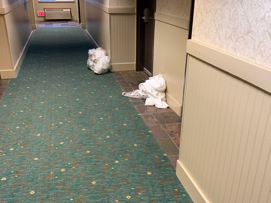 提拉穆克阿什利旅馆主图