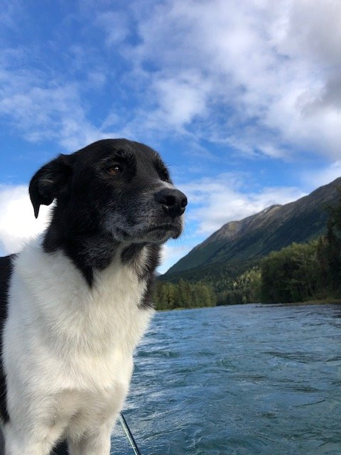 Lakeview Outfitters-Cooper Landing必去景点