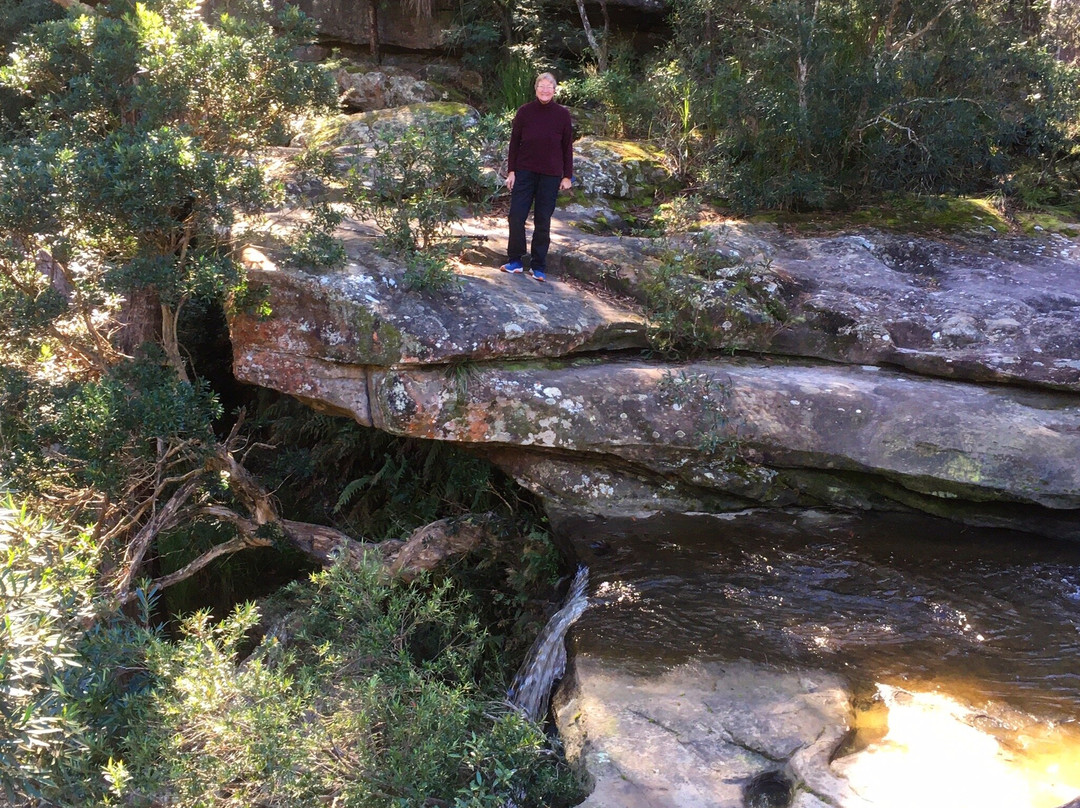 Brisbane Water National Park-Kariong必去景点