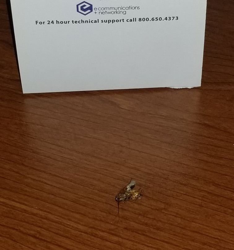 Country Inn & Suites by Radisson, Valparaiso, IN主图