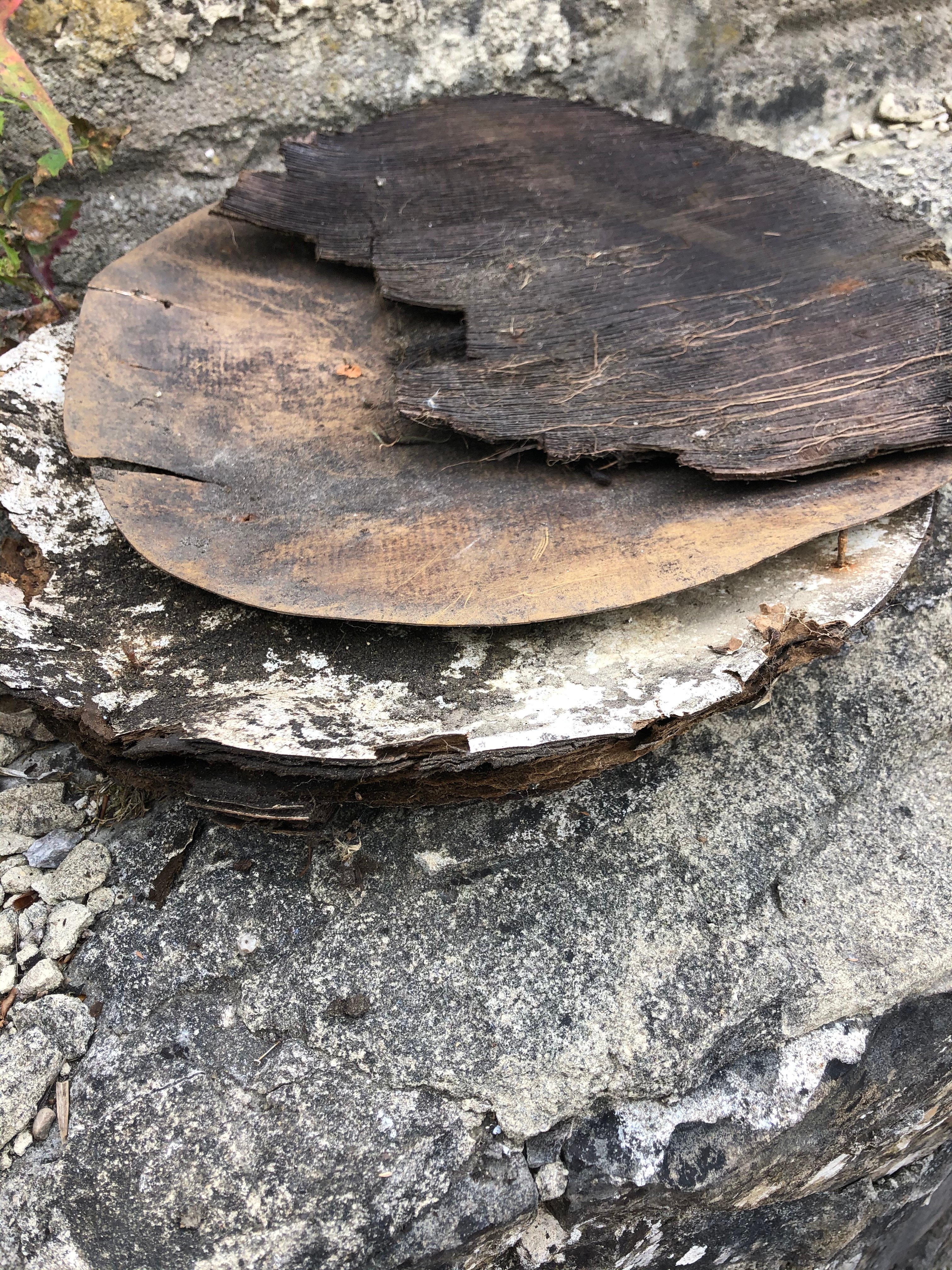 Bentley Brook Inn-浴室