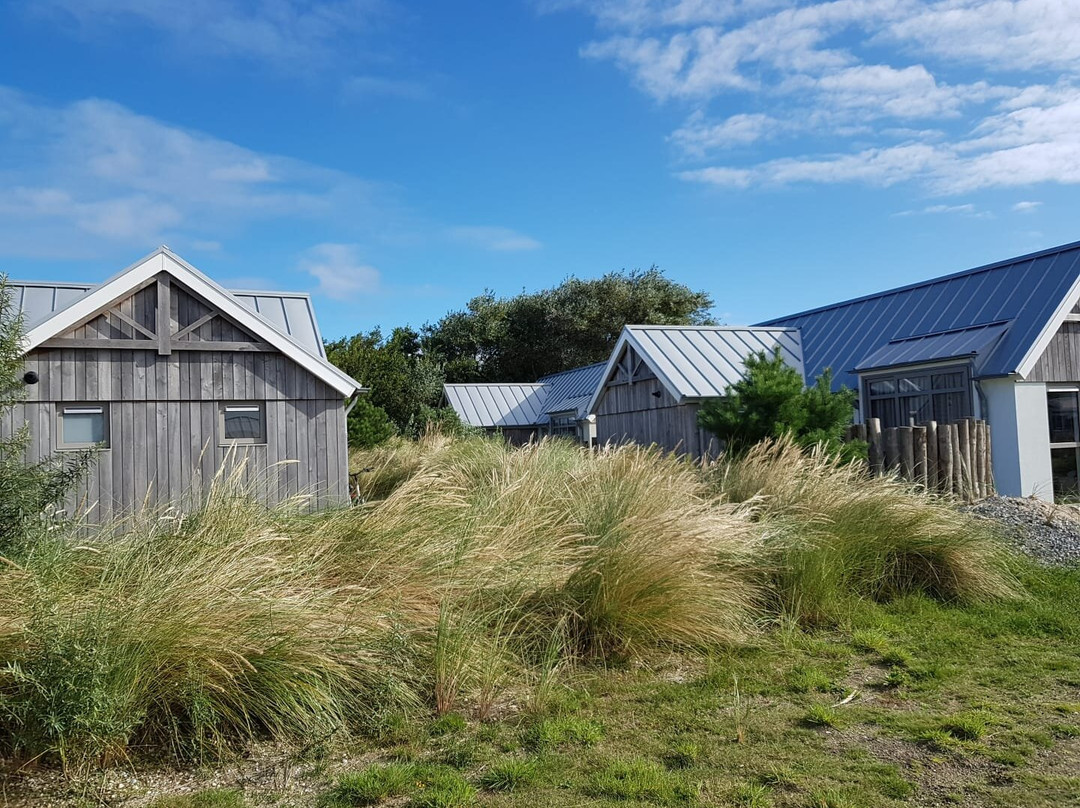 Vakantiepark Boomhiemke主图