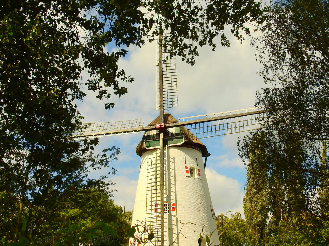 Windmill Keeken景点图片