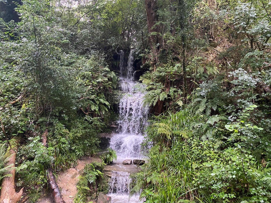 Old Roar Gill-海斯廷斯必去景点