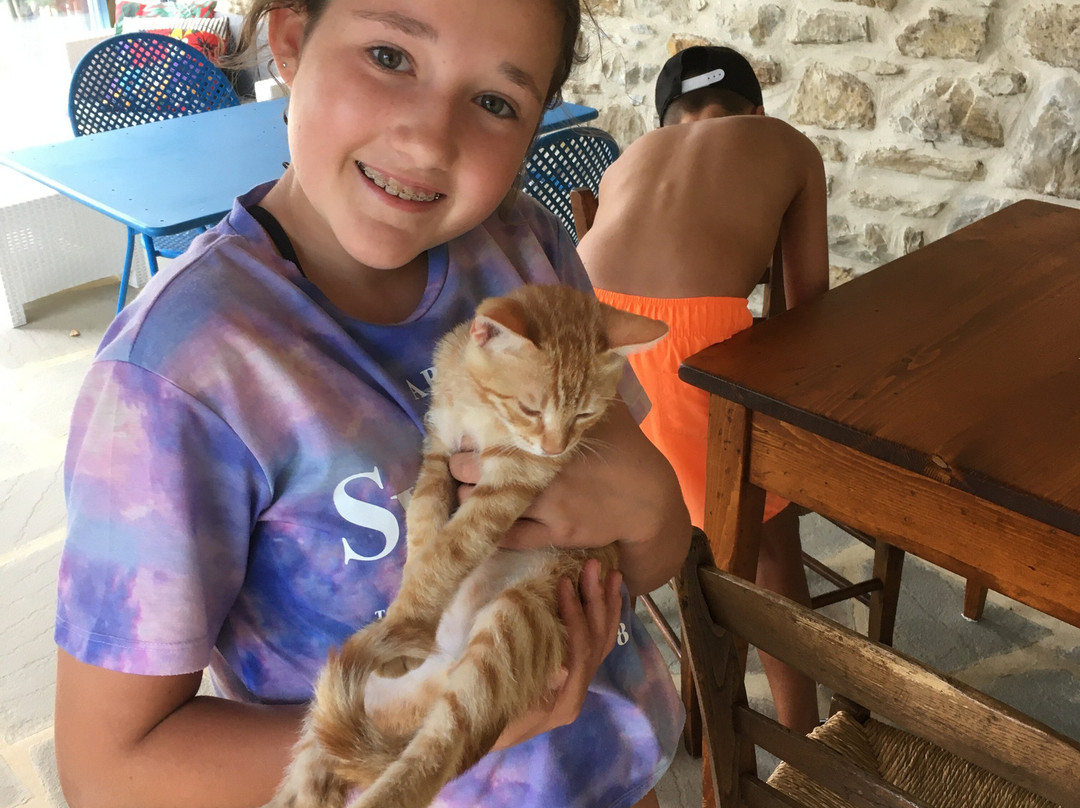 Podere Fontanino主图