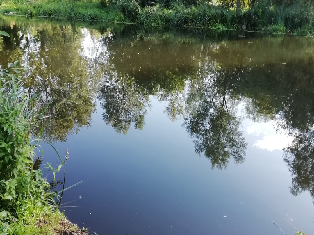 River Stour Trust Boat Trips景点图片