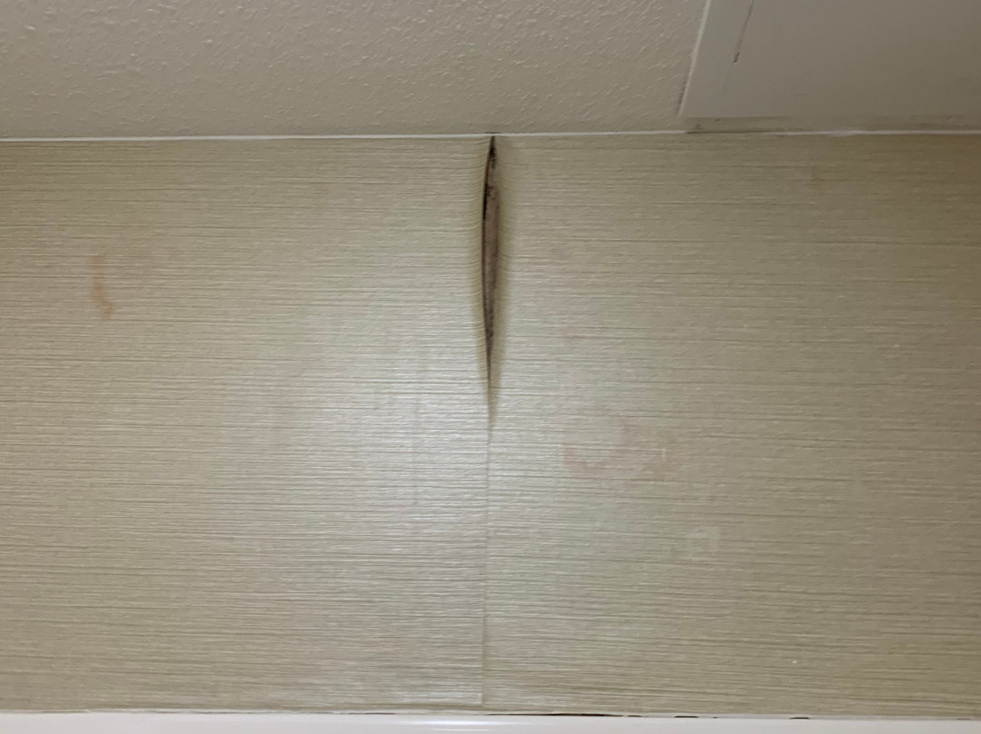 Quality Inn & Suites主图