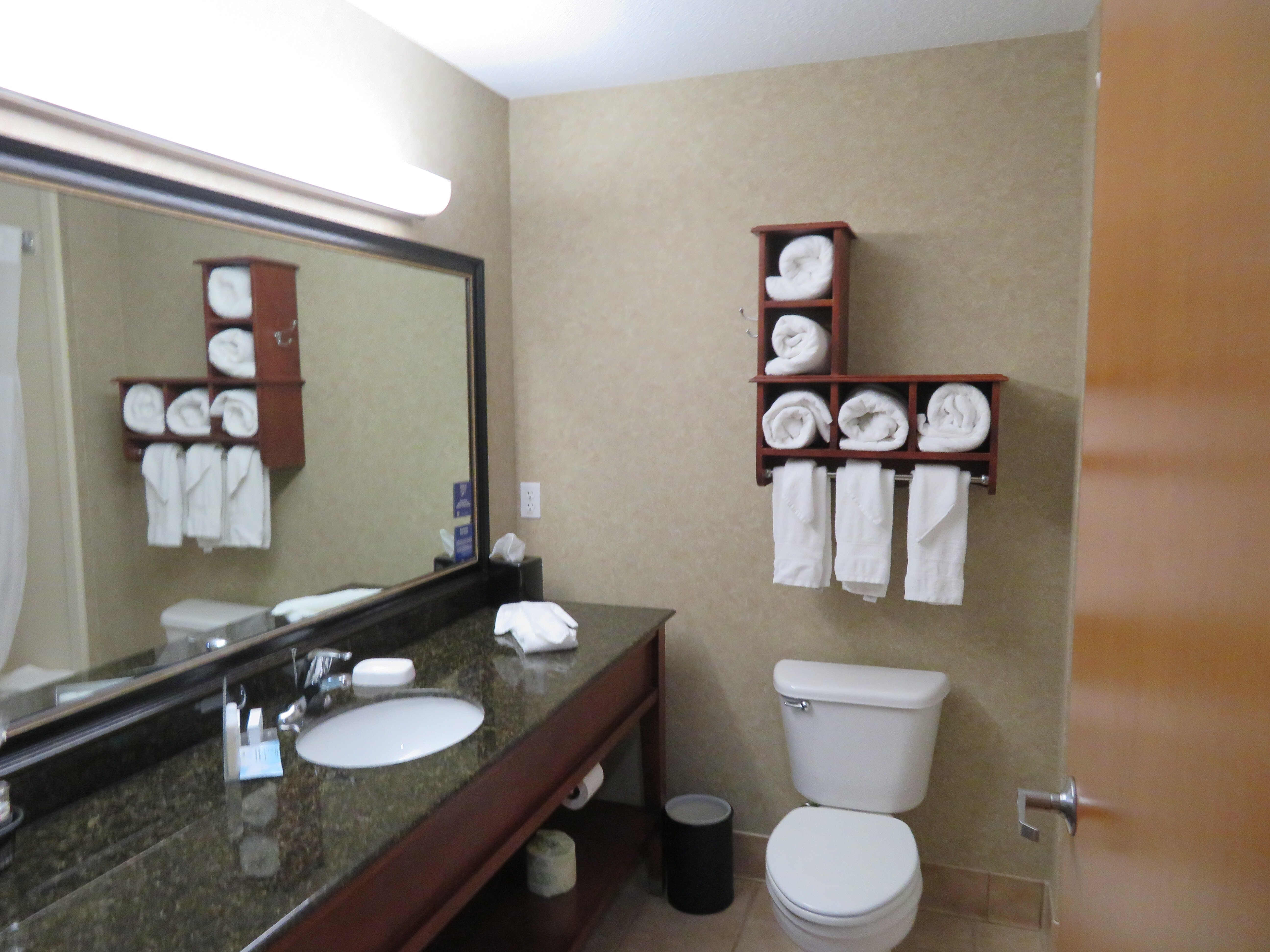 Hampton Inn Mitchell-浴室