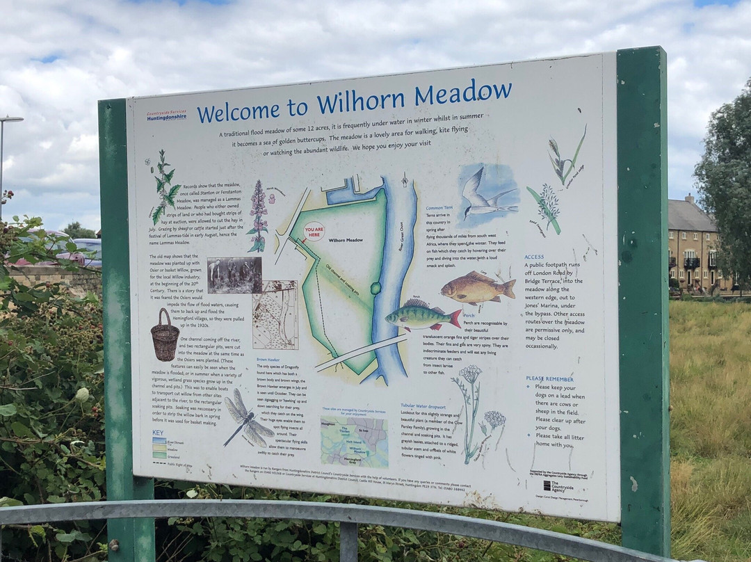 Wilhorn Meadow景点图片
