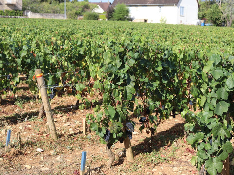 Domaine Francois Lumpp-Givry必去景点